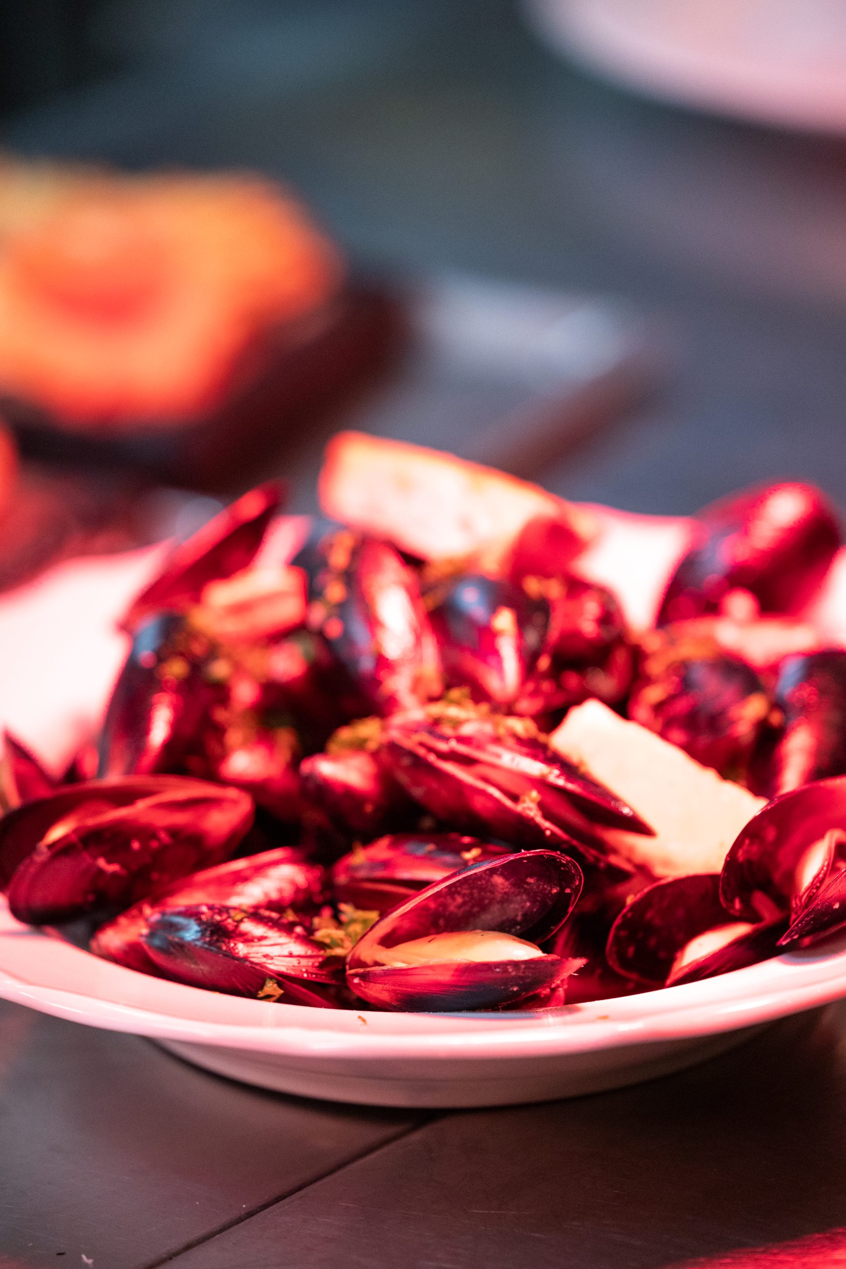 Plaza-oktober-2025-4