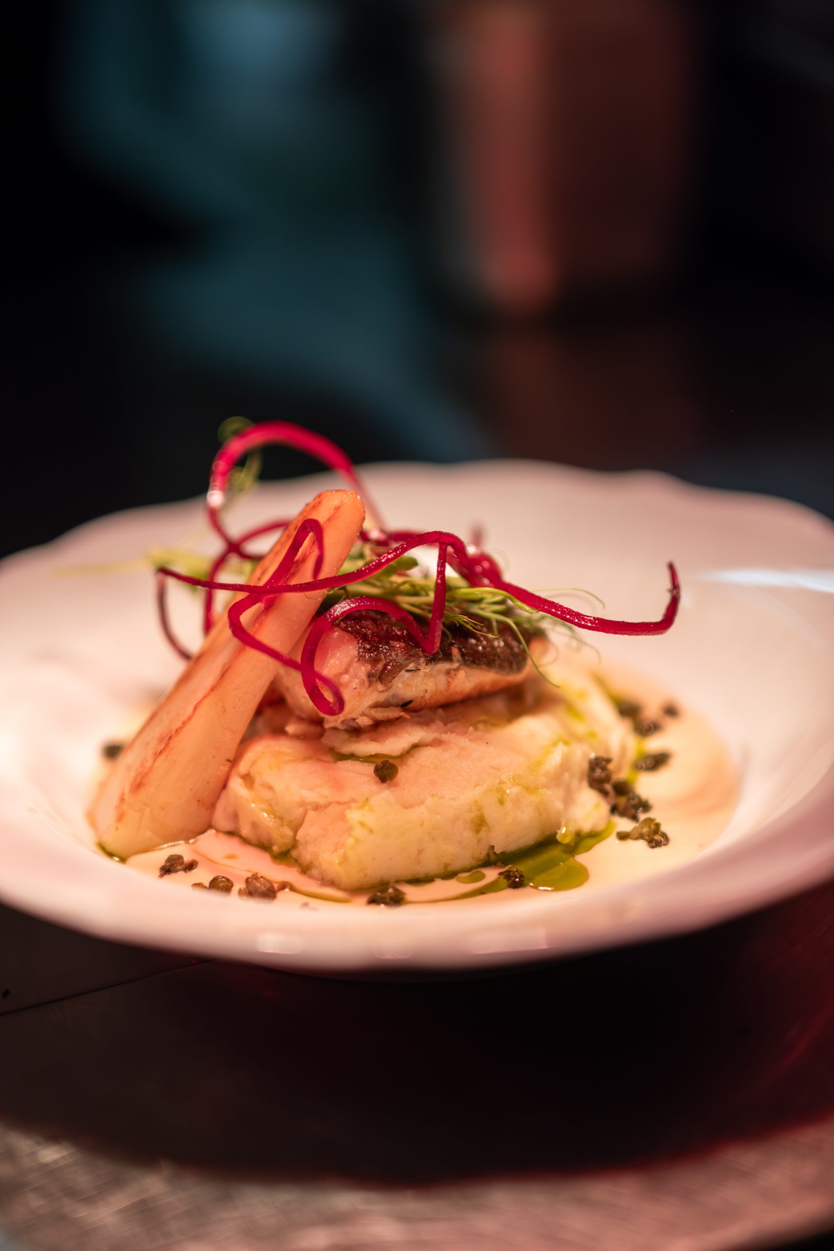 Plaza-oktober-2025-64